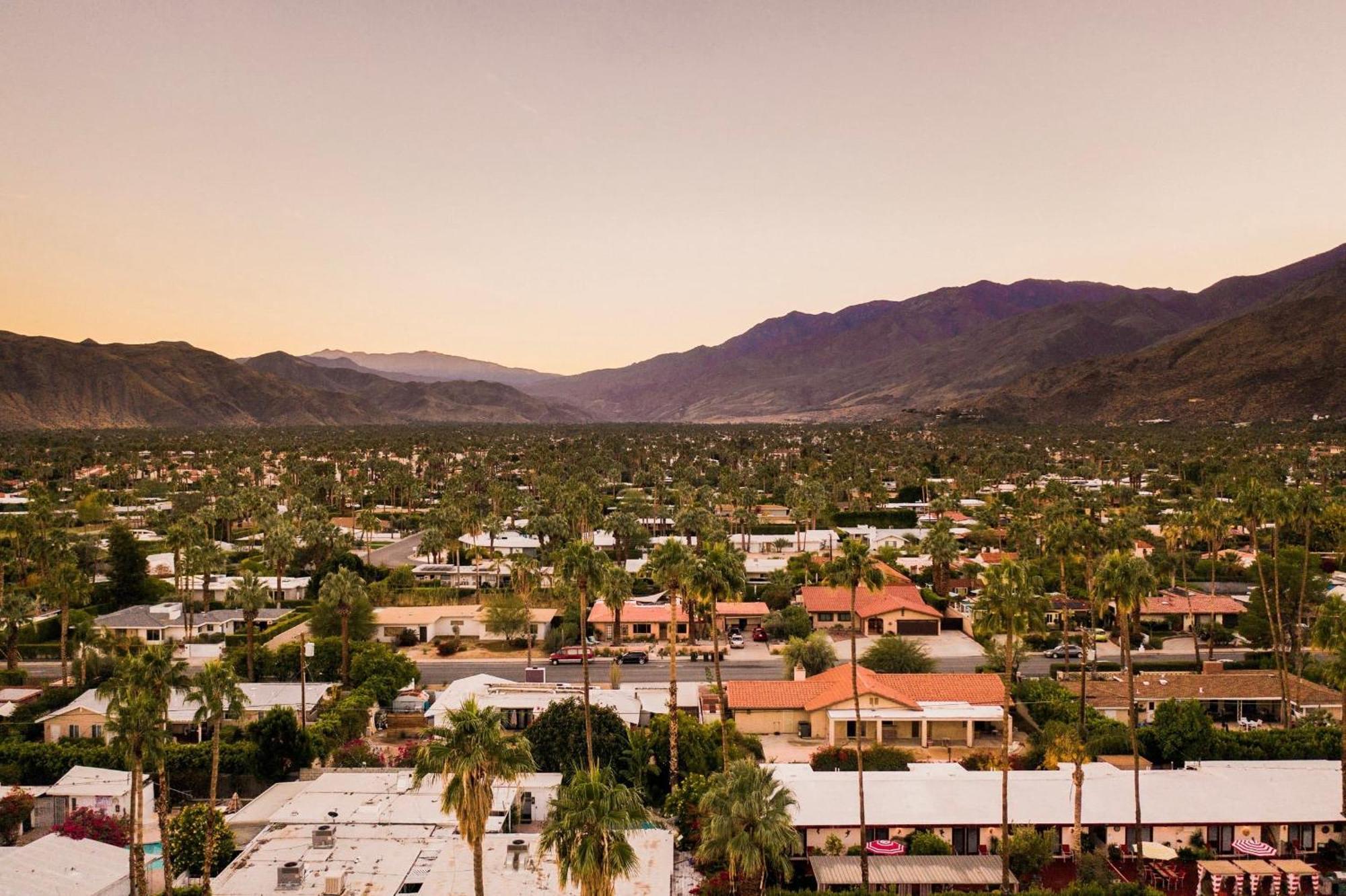 The Wesley Hotel By Avantstay Retro Spacious W Bbq Pool Spa Palm Springs Exteriér fotografie